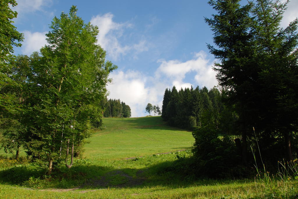 Na Cernem Potoce Villa Rokytnice nad Jizerou Bagian luar foto